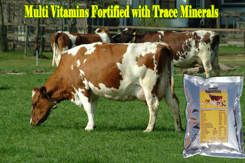 Cattle Health supplements