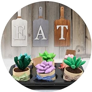 DIY delightful home decor - liven up any room - felt succulent plushies sewing craft kit