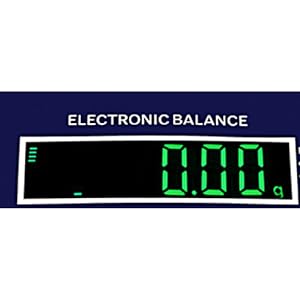 Precision Balance