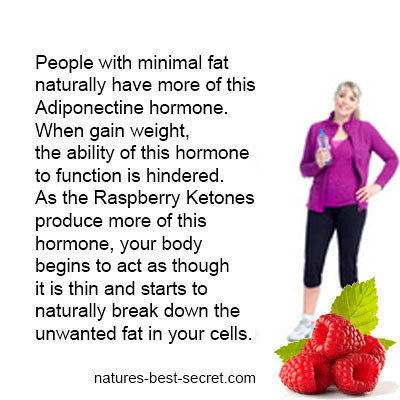 Raspberry Ketones Supplements