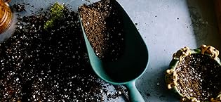 seeds shovel soil Earth Science