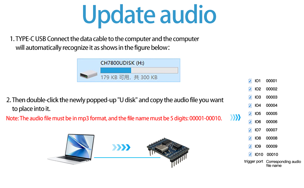 Voice Module