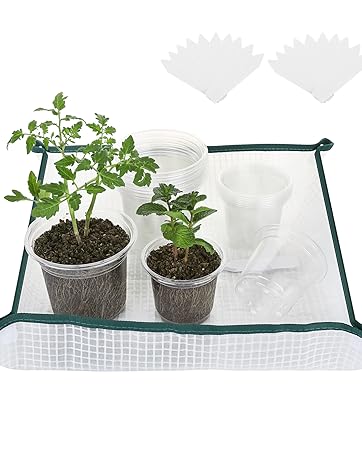 clear nursery pots variety pack