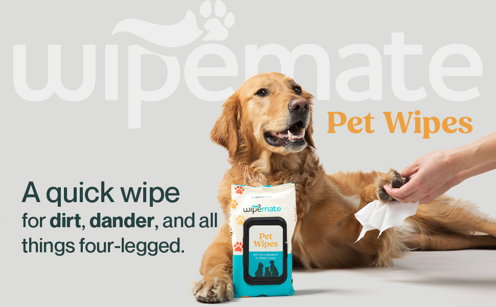 pet wipe 100 count