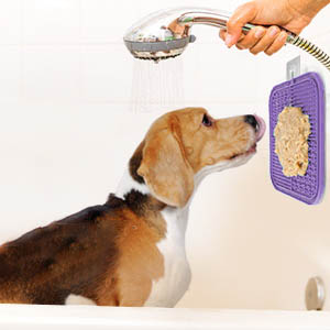 dog shower