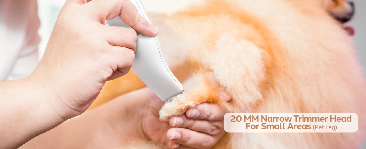 dog grooming kit for dogs at home