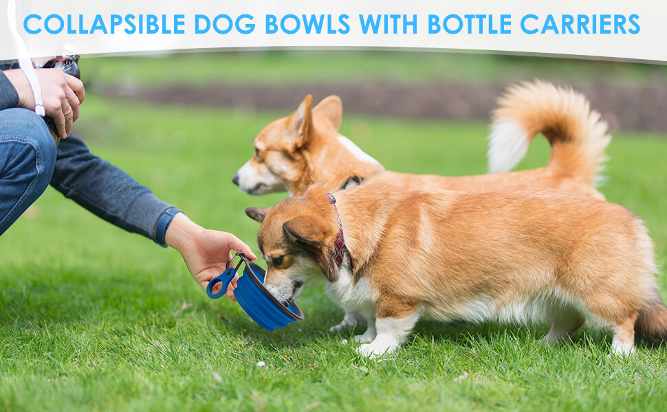 collapsible dog bowls