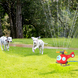 Courtyard Play