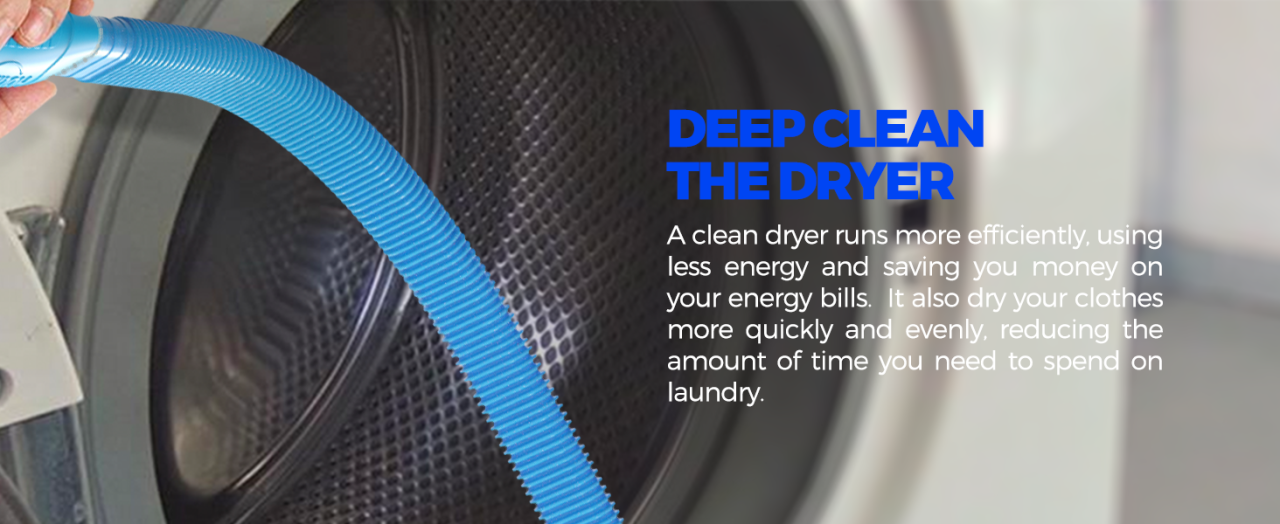 deep clean the dryer