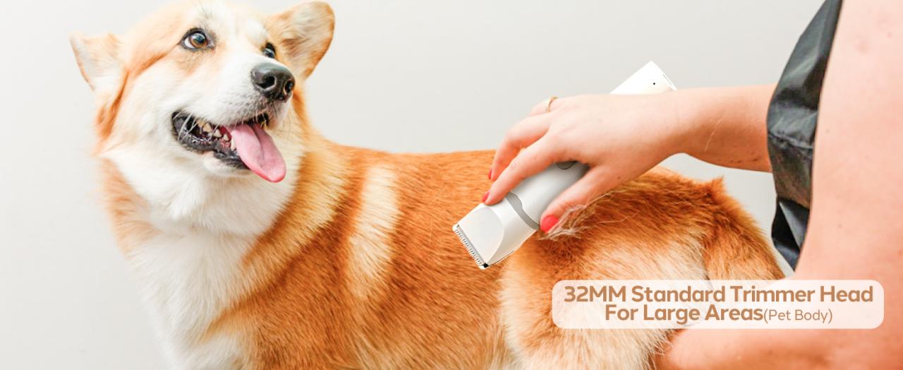 dog clippers for grooming