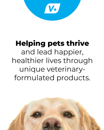 vetnique's mission. helping pets thrive