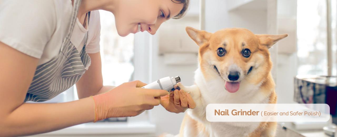 nail grinder for dog