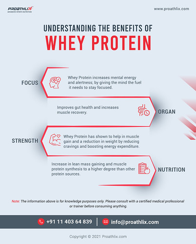 Whey Protein