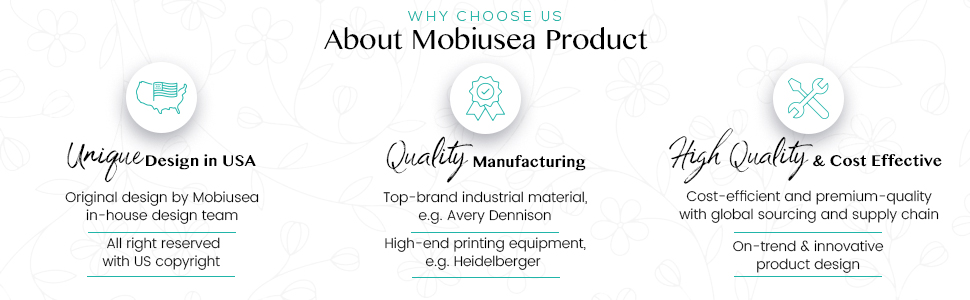 Third Draft About Mobiusea Product