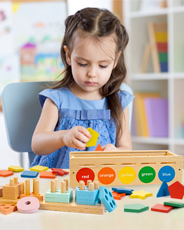 Color & Shape Sorting Matching Toy 