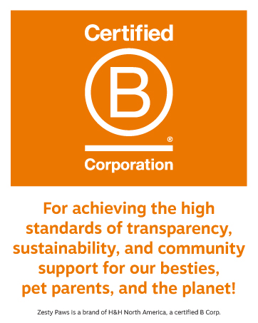 certifed b corporation 