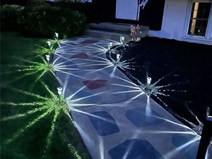 Solar Lawn Lights