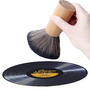 vinyl record brush