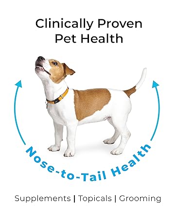 Nose to Tail Pet Health