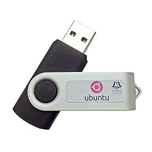 Linux Ubuntu Boot Drive Disco Dingo 19.04