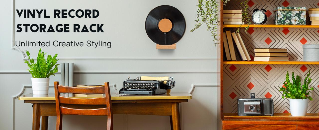 Vinyl Record Shelf