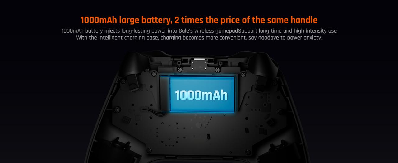 1000mAh Large Battery