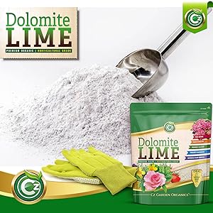 Lime Powder Pile