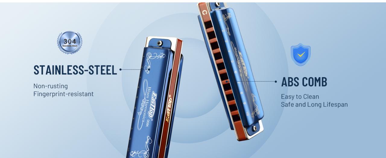 blues harmonica for adults