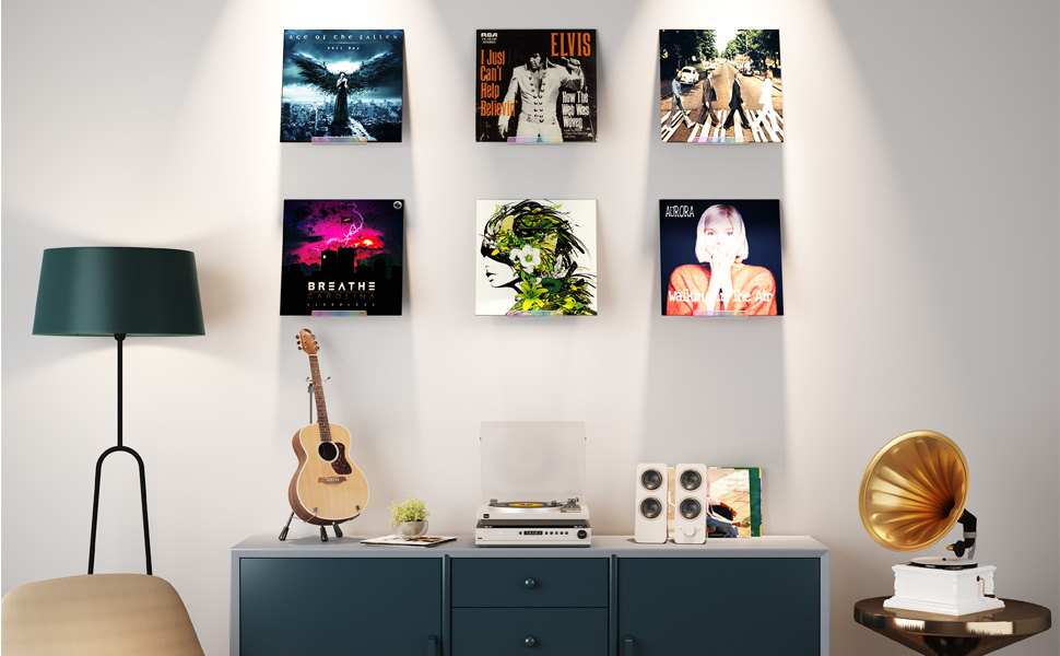 vinyl record wall mount iridescent