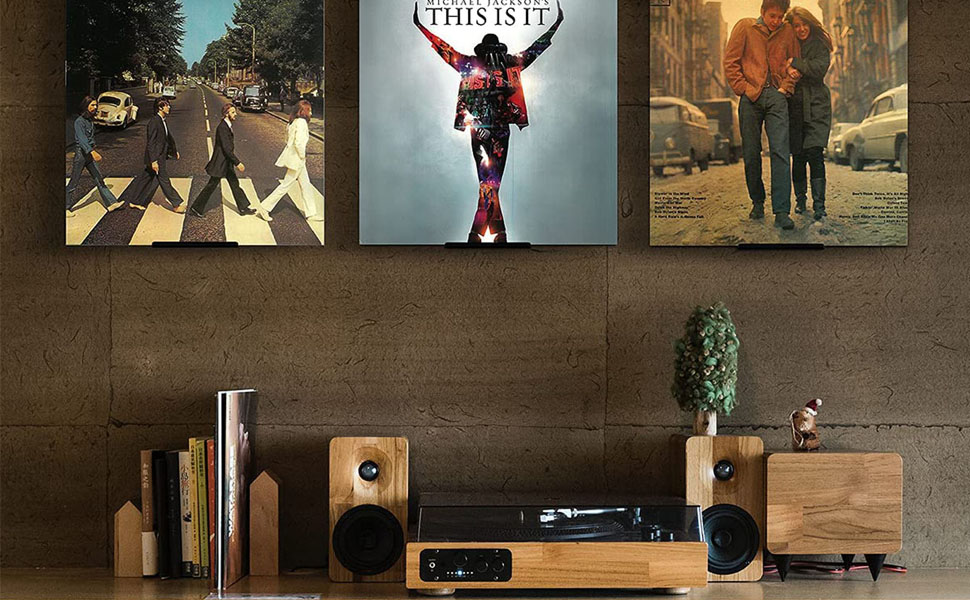 Record Holder for Albums Wall Mount