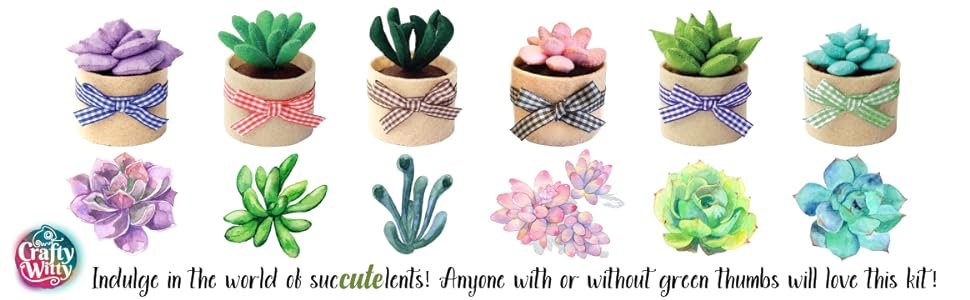 Indulge in the world of succulents - echeveria Graptopetalum Cotyledon