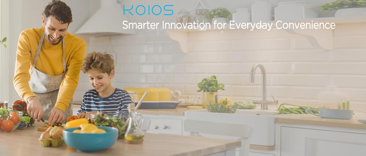 koios immersion blender hand blender