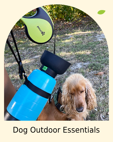 dog leash dog water bottle