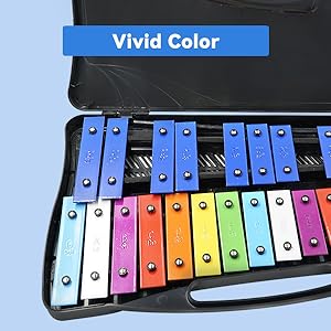 xylophone