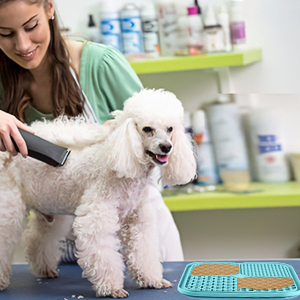 dog feeder mat