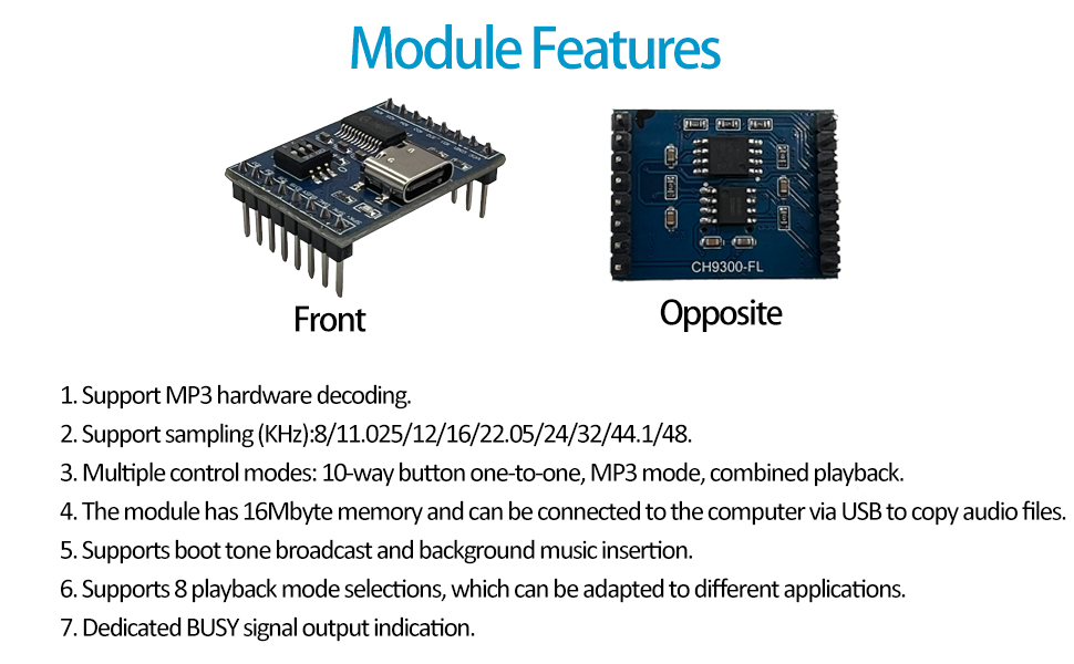 Voice Playback Module