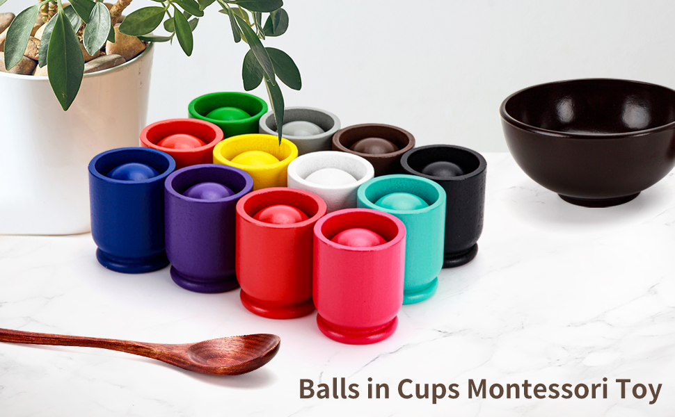 Balls in Cups Montessori Toy