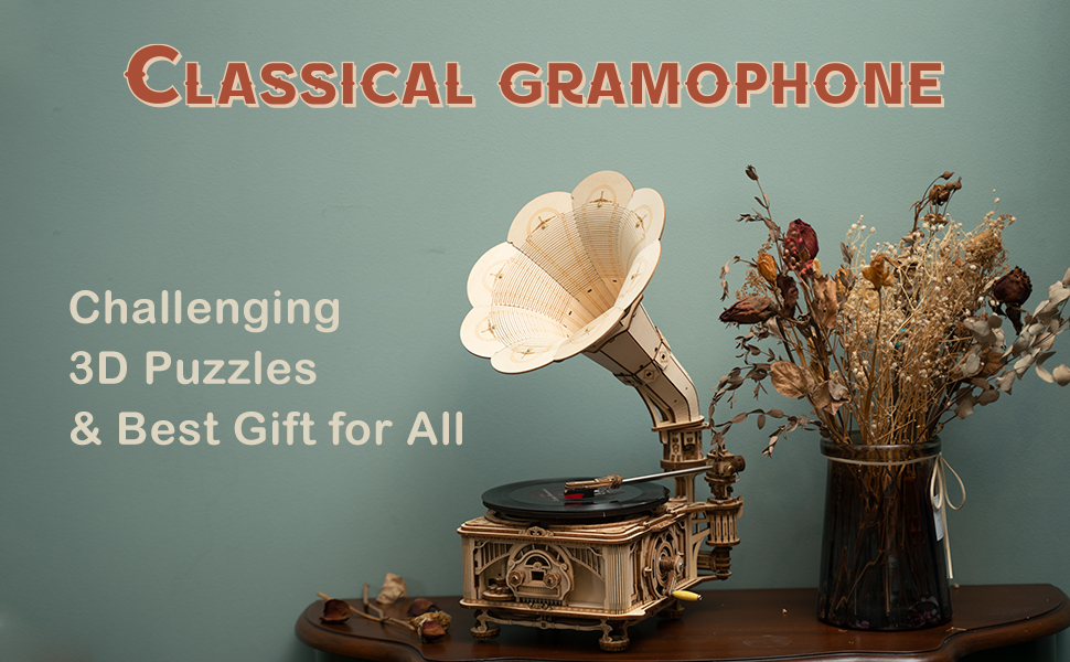 ROKR DIY Retro Gramophone