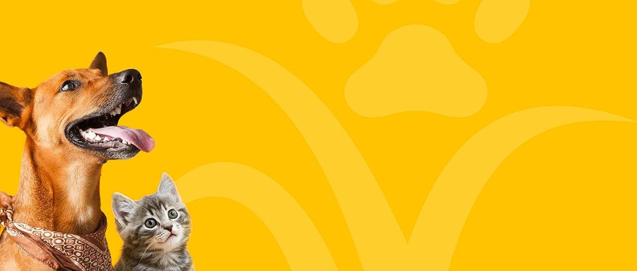 Dog and cat in front of yellow background with Naturvet logo