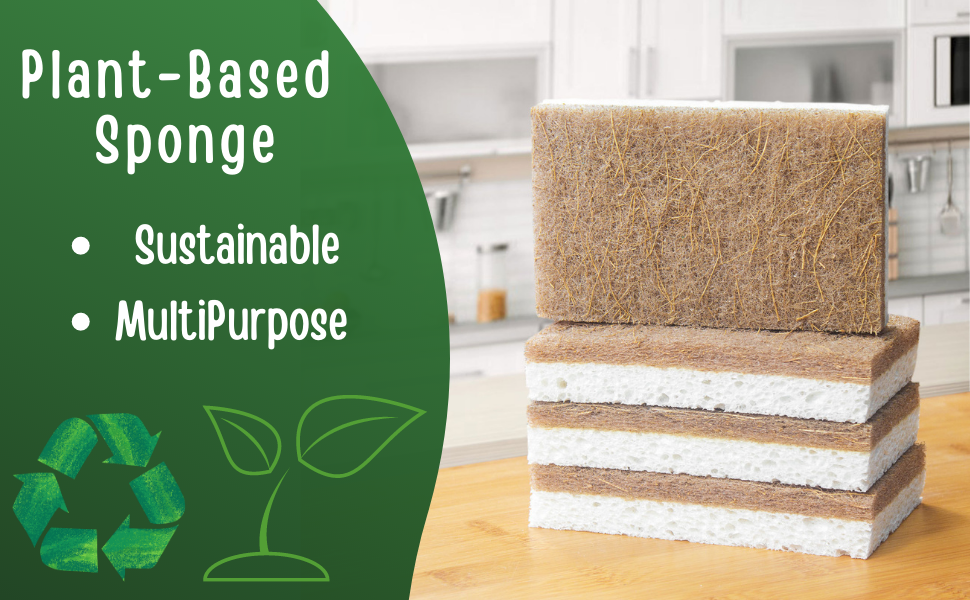 Plant Based Sponge