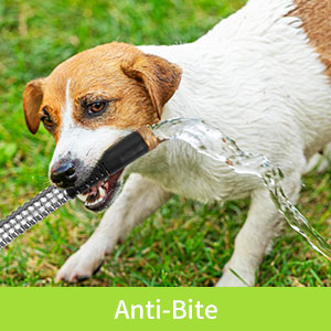 Anti-Bite 