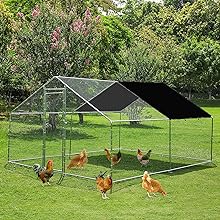 chicken netting