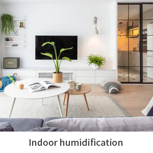 indoor humidification