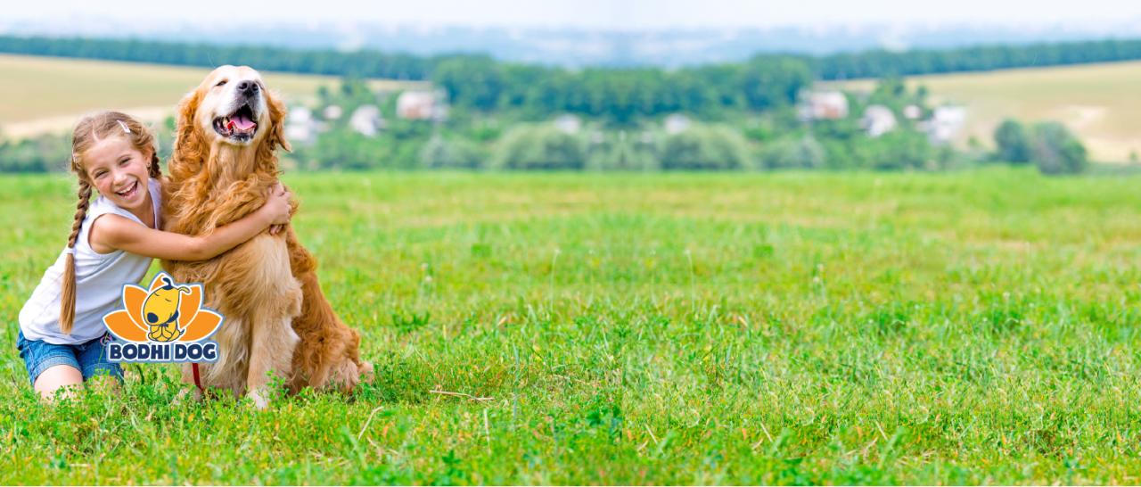 young girl hugging golden retriever in field with rolling hills in the background