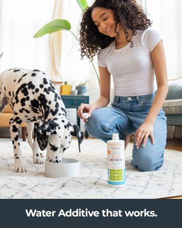 woman giving her dog a bowl full of water andwater additive that works