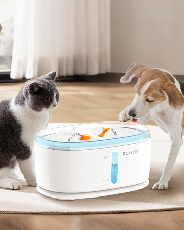 Cat Water Fountain for 2 Cats