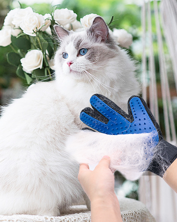 Dog Washing Gloves