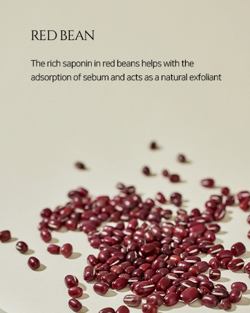 Red Bean