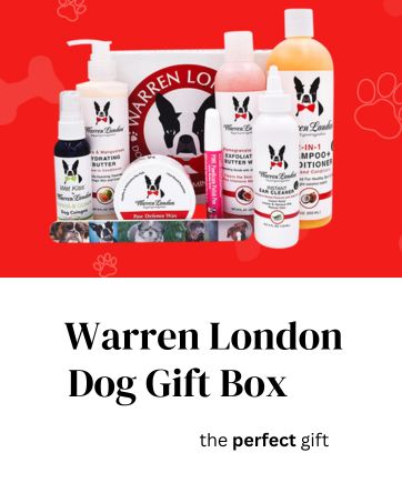 dog gift box