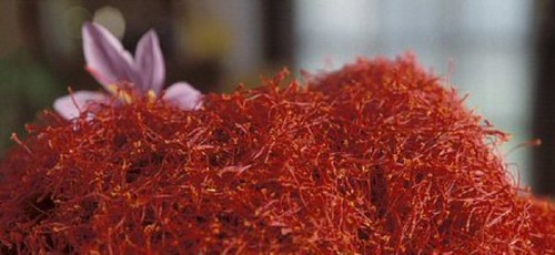 saffron supplements